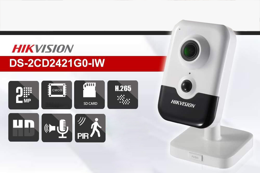 معرفی هایک ویژن DS-2CD2421G0-IW
