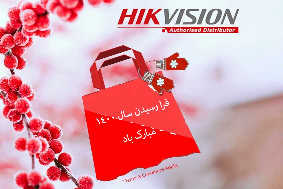 هایک ویژن در سال 1400